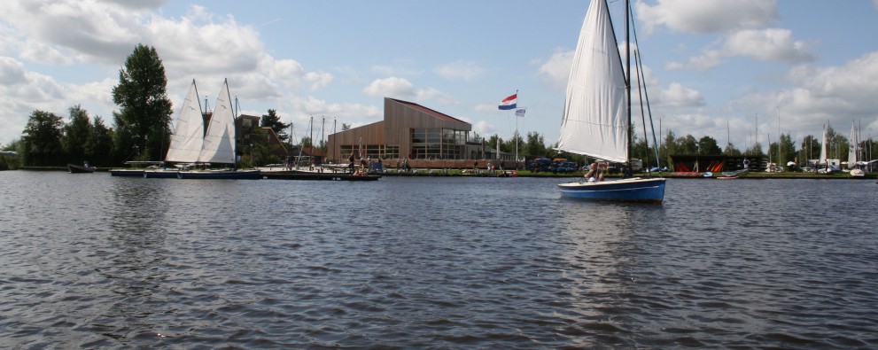 Valk zeilend Valk zeilend