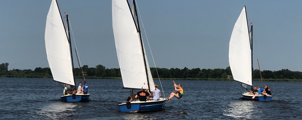 Valk achterkant Valk achterkant