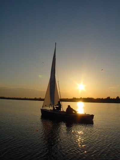 Valk ondergaande zon